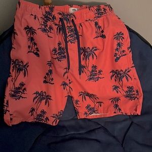 Old navy swim trunks